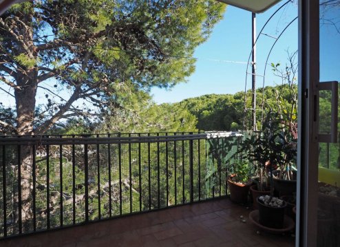 Spanien Ferienwohnung  l'Escala Costa Brava