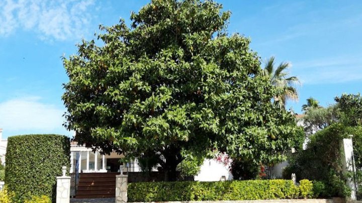Casa de vacaciones en Empuriabrava con piscina privada y muelle para barcos desde 15m