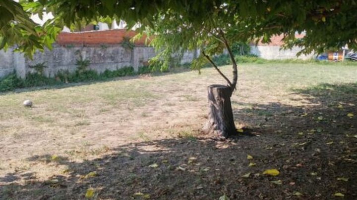 Spain Plot of 975 m² in l'Escala on the Costa Brava for sale