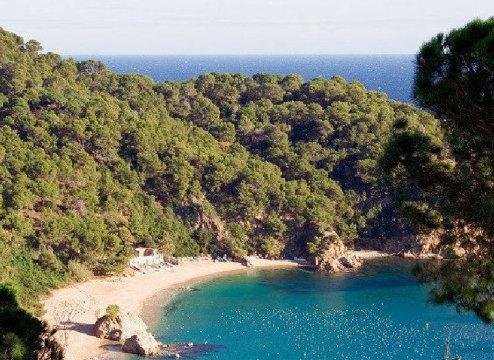 Spanien Ferienhaus Cala Canyelles Costa Brava