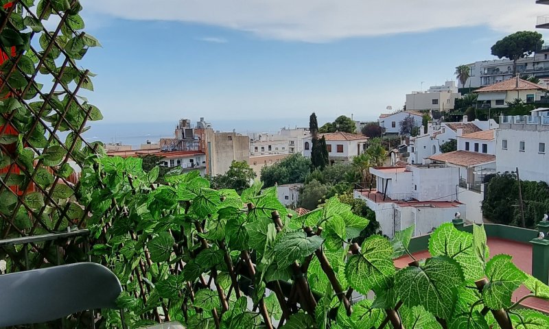 Meerblick Studio / Wohnung in Lloret de Mar Spanien, Costa Brava